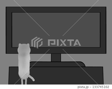 テレビと猫がいる様子 133745102