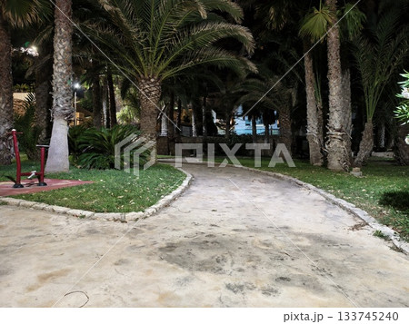 quiet evening walk through palmlined park, peaceful night walk along curved palm trees and lamplight 133745240