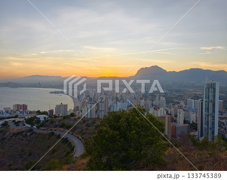 serene sunset scene, peaceful sunset illuminating cityscape with solitary shrub and distant 133745389