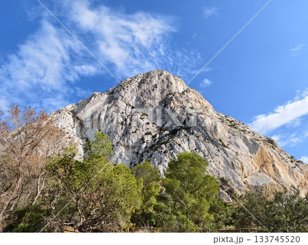 warm sunlight bathes rugged pine terrain, dramatic sunlit crag above lush pine canopy with inviting warm sunlight bathes rugged pine terrain, dramatic sunlit crag above lush pine canopy with inviting 133745520