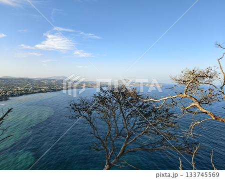 breathtaking seaside view with lone tree, vast coastal outlook featuring turquoise bay and windswept 133745569