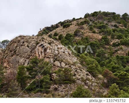 rocky outcrop with trees, rock formation dotted with pine trees and rugged textures framed rocky outcrop with trees, rock formation dotted with pine trees and rugged textures framed 133745732