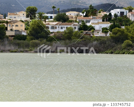 beautiful waterfront properties in sunny mediterranean village with pine slopes and reed beds beautiful waterfront properties in sunny mediterranean village with pine slopes and reed beds 133745752