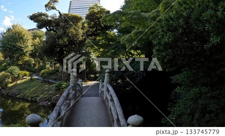 東京都墨田区横網1丁目　墨田区立旧安田庭園 133745779