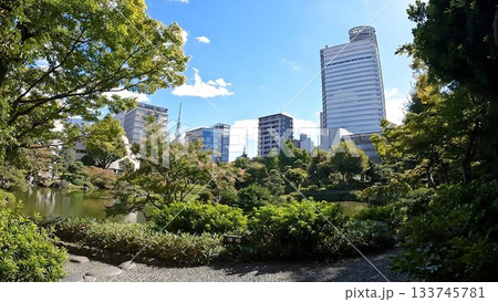 東京都墨田区横網1丁目 墨田区立旧安田庭園 東京都墨田区横網1丁目 墨田区立旧安田庭園 133745781