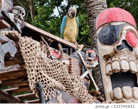 rustic pirate setup with macaw, illustration of rustic pirate environment with colorful macaw bird 133745833