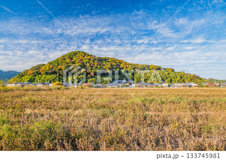 滋賀県近江八幡市円山町の田園風景 滋賀県近江八幡市円山町の田園風景 133745981