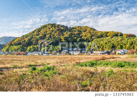 滋賀県近江八幡市円山町の田園風景 滋賀県近江八幡市円山町の田園風景 133745983