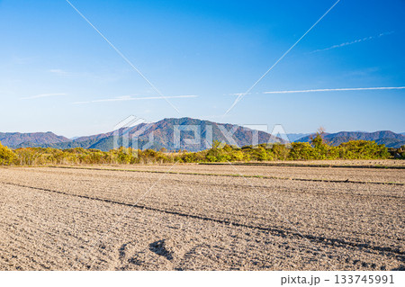 滋賀県近江八幡市円山町の田園風景 滋賀県近江八幡市円山町の田園風景 133745991