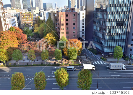 ビルが立ち並ぶ谷間の紅葉が美しい桜川公園 ビルが立ち並ぶ谷間の紅葉が美しい桜川公園 133746102