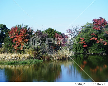 池に映る紅葉 池に映る紅葉 133746274