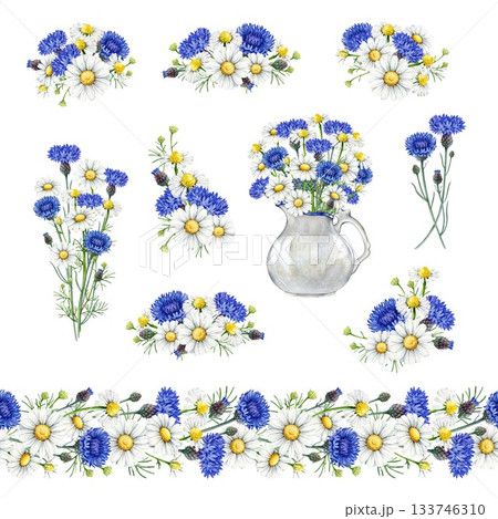 Chamomile blossoms with blue cornflowers decor element vintage style watercolor illustration set. Hand drawn wildflower meadow flowers floral decoration rustic collection on white background 133746310