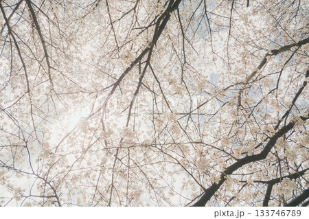 various various 133746789