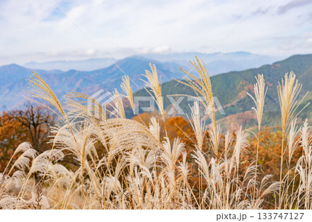 陣馬山山頂から見たススキと山々の景色 133747127