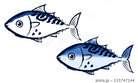 スマガツオ スマガツオ 133747144