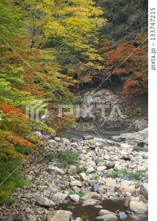 紅葉した山と川 紅葉した山と川 133747215