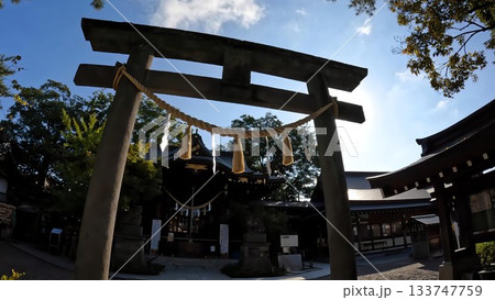 埼玉県行田市行田 行田八幡神社 埼玉県行田市行田 行田八幡神社 133747759