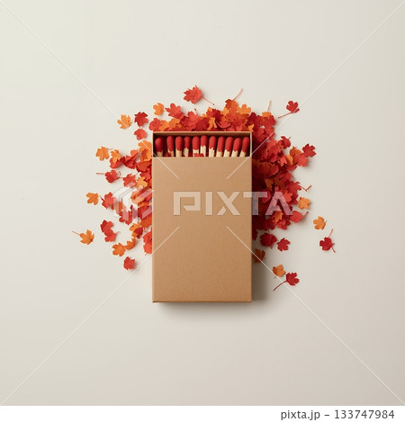 紅葉とマッチ箱のミニマルアート構図 133747984