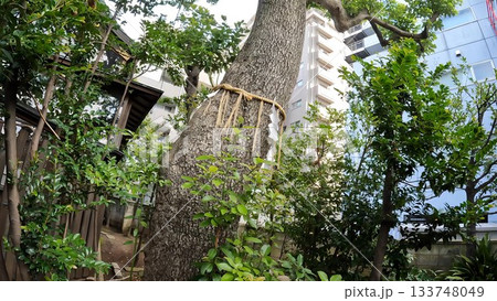 東京都足立区綾瀬4丁目 綾瀬稲荷神社 東京都足立区綾瀬4丁目 綾瀬稲荷神社 133748049