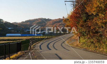 紅葉がきれいな田舎道 紅葉がきれいな田舎道 133748059
