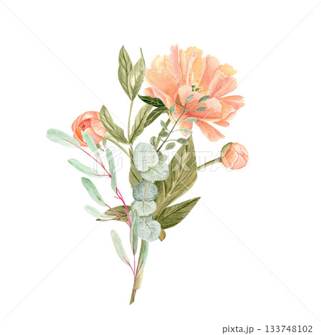 Peony with eucalyptus bouquet in soft peach tones watercolor illustration isolated on white. Hand-painted with high detail, perfect for wedding invitations, branding, packaging, fabric design cards 133748102