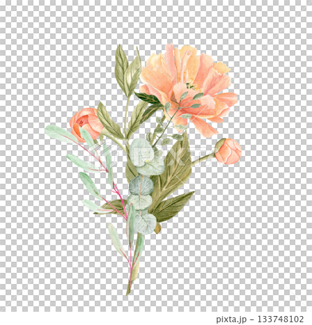 Peony with eucalyptus bouquet in soft peach tones watercolor illustration isolated on white. Hand-painted with high detail, perfect for wedding invitations, branding, packaging, fabric design cards 133748102