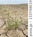 Dry and cracked ground due to lack of rain or irrigation 133748619
