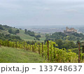 Torrechiara Castle seen from a vineyard, Parma, Italy 133748637