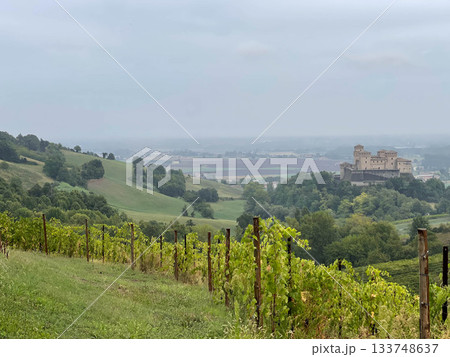 Torrechiara Castle seen from a vineyard, Parma, Italy Torrechiara Castle seen from a vineyard, Parma, Italy 133748637
