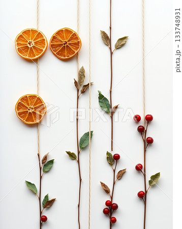 ドライオレンジと赤い実のミニマルクリスマスガーランド 133748931