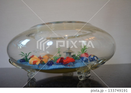 夏の涼しげな金魚鉢 夏の涼しげな金魚鉢 133749191