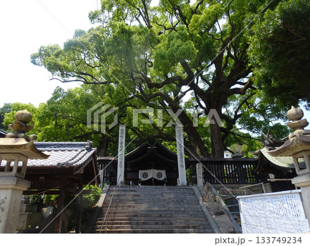 広島県尾道市 艮神社の参道 広島県尾道市 艮神社の参道 133749234