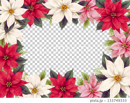 華やかな水彩のポインセチアのフレーム 133749333