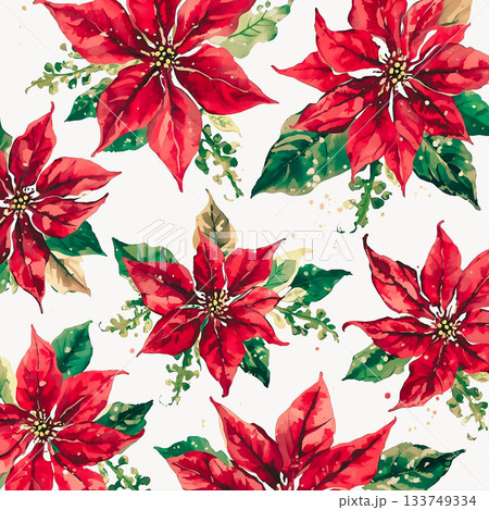 赤いクリスマス　ポインセチアの壁紙 133749334
