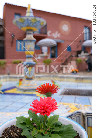 志摩地中海村 133750024