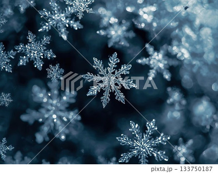 きらめく雪の結晶のイラスト 133750187