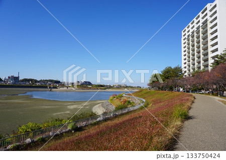 秋の大阪狭山池 133750424