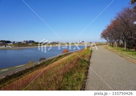 秋の大阪狭山池 133750426