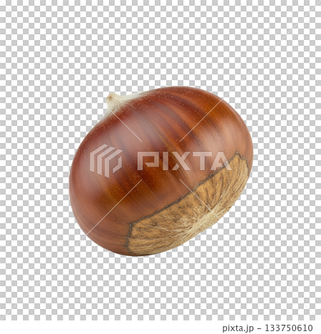 栗子（背景透明） 133750610