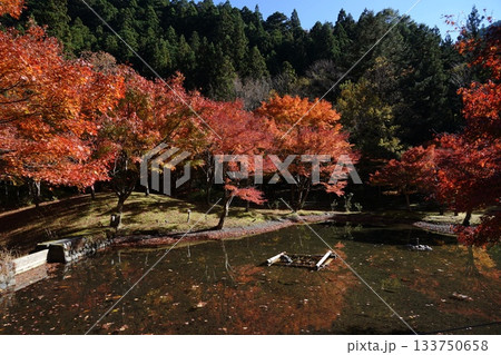紅葉のある風景 11月静岡114寸又峡の紅葉・草履石公園. 紅葉のある風景 11月静岡114寸又峡の紅葉・草履石公園. 133750658