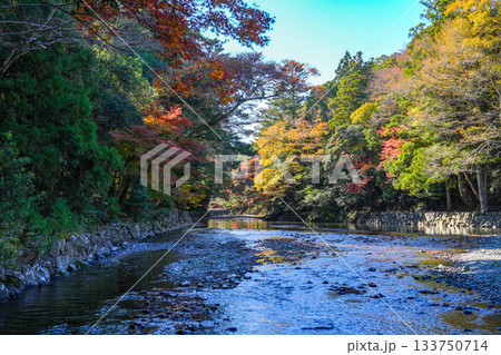 伊勢神宮内宮紅葉 133750714