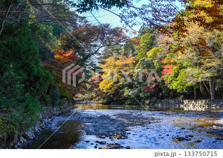 伊勢神宮内宮紅葉 133750715