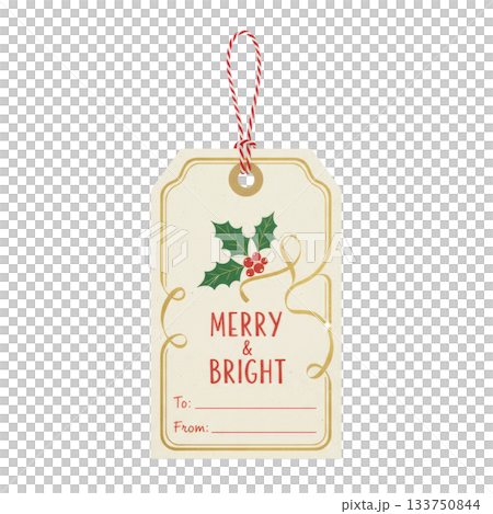 クリスマスギフトタグ 133750844