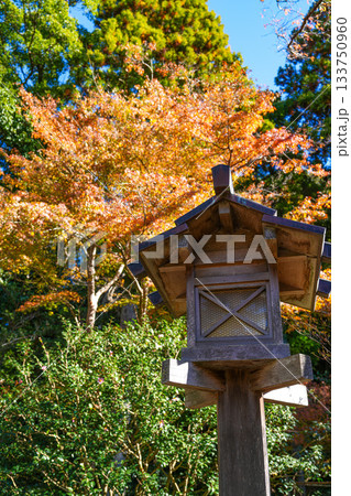 伊勢神宮内宮紅葉 133750960