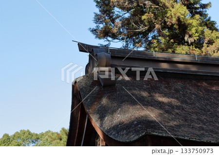 神社の屋根 神社の屋根 133750973