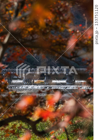 嵐山の紅葉 133751120