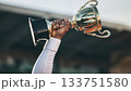 トロフィーを頭上に掲げるスポーツ選手の手 133751580
