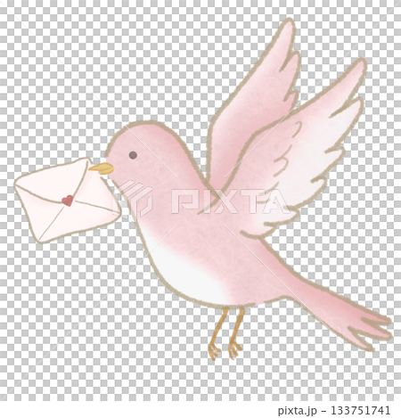 情人節情書小鳥,粉紅色底部棕色輪廓 情人節情書小鳥,粉紅色底部棕色輪廓 133751741