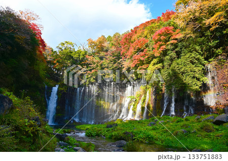 白糸ノ滝 紅葉 富士宮市 白糸ノ滝 紅葉 富士宮市 133751883