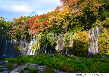 白糸ノ滝 紅葉 富士宮市 白糸ノ滝 紅葉 富士宮市 133751886